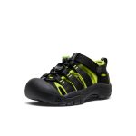 Little Kids' Newport H2 | Black/Lime Green