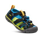 Little Kids' Seacamp II CNX | Black/Brilliant Blue
