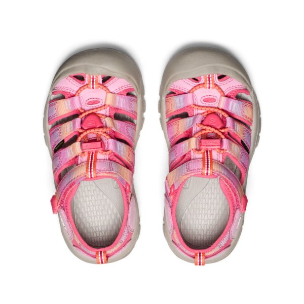 Little Kids' Newport H2 | Hot Pink/Orchid Petal