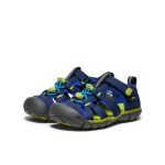 Little Kids' Seacamp II CNX | Naval Academy/Chartreuse