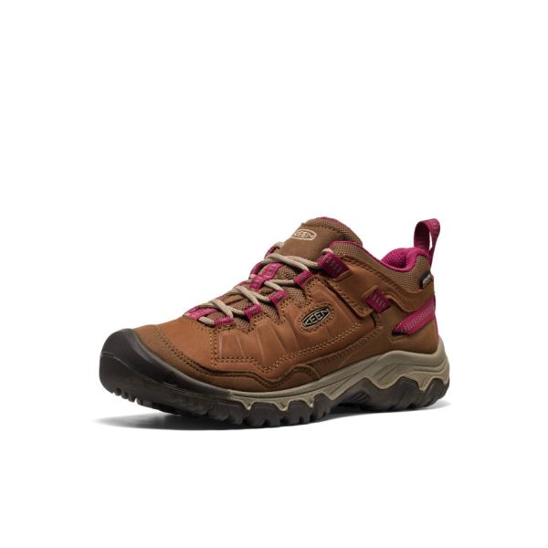 Women's Targhee IV Waterproof Hiking Shoe | Bison/Beaujolais
