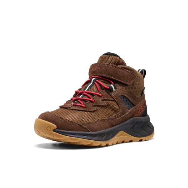 Little Kids' Hightrail Waterproof Hiking Boot | Dark Earth/Garnet