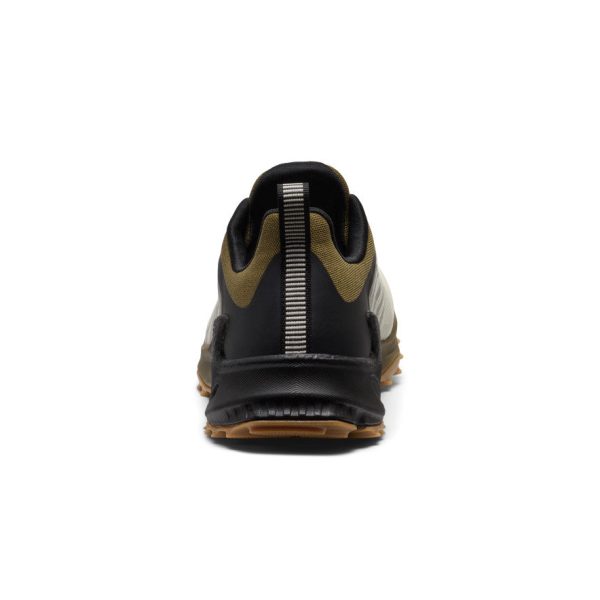 Men's Zionic NXT Waterproof Hiking Shoe  |  Abbey Stone/Dark Olive