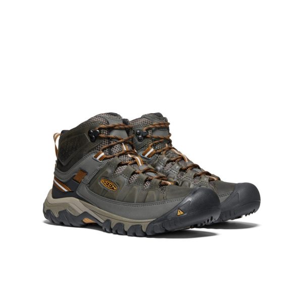 Men's Targhee III Waterproof Mid | Black Olive/Golden Brown